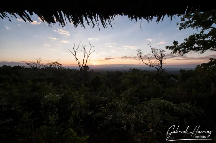 Private Photo safari Mikumi national park