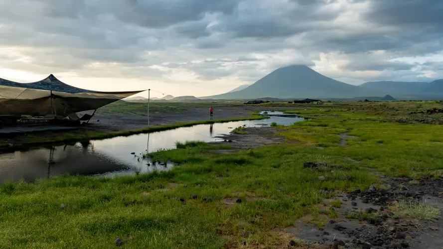 Lesser Flamingo Lake Natron