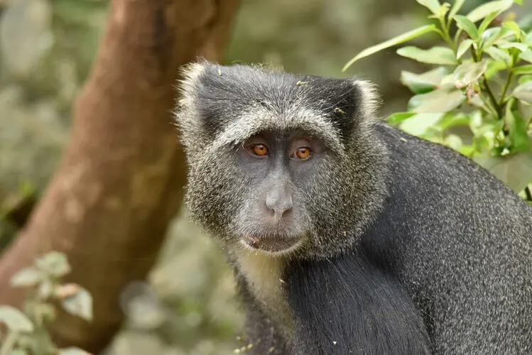 Photographic safari Lake Manyara