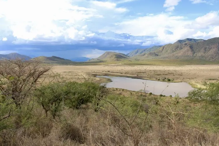 Visit Mkomazi NP Tanzania