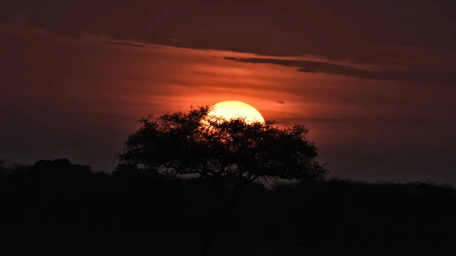 Photographic safari great migration serengeti