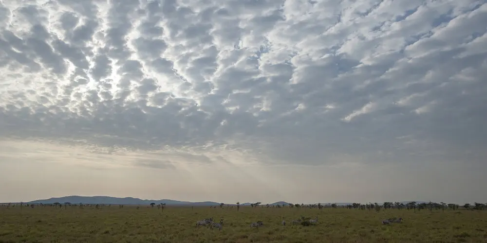 Photographic safari great migration serengeti