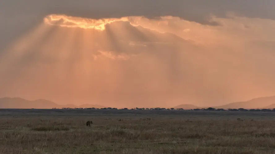 Photographic safari great migration serengeti