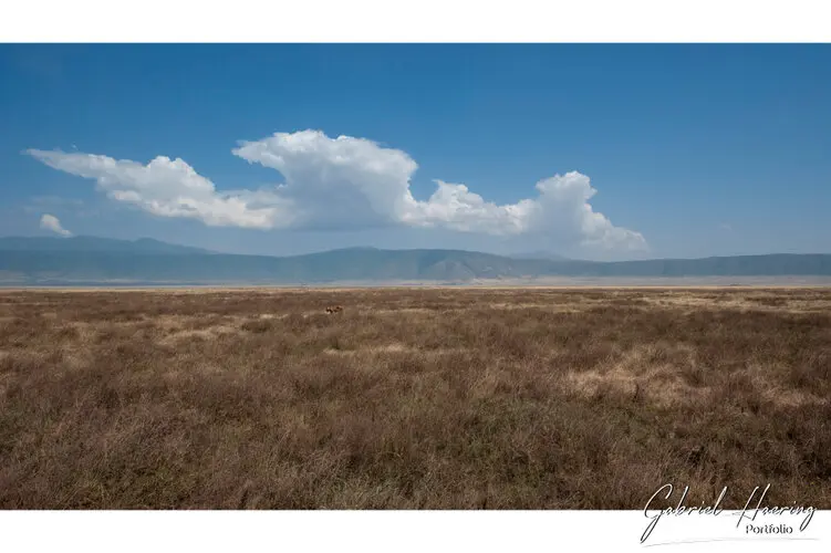 Ngorongoro Conservation Area private safari